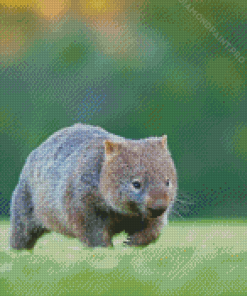 Cute Little Wombat Diamond Painting