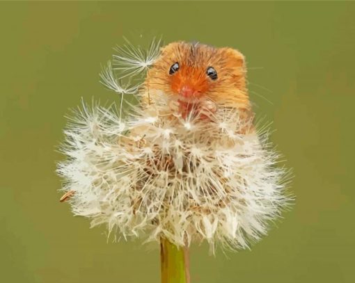 Mouse And Dandelion Diamond Painting