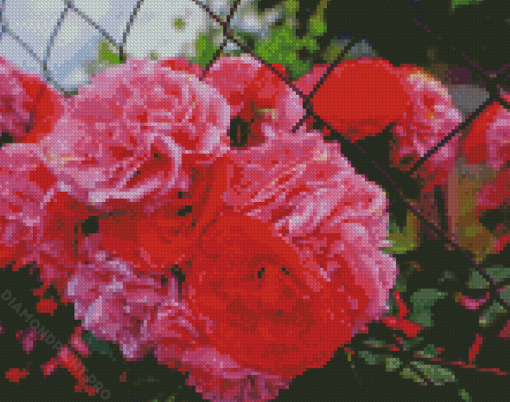 Pink Carnation Flowers Diamond Painting
