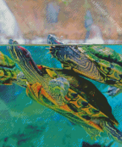 Red Eared Slider Turtles Underwater Diamond Painting