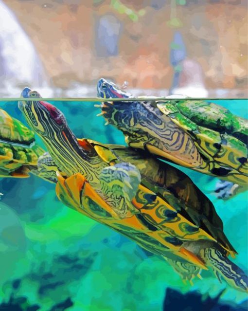 Red Eared Slider Turtles Underwater Diamond Painting