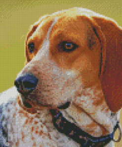 Treeing Walker Coonhound Dog Diamond Painting