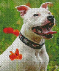 White Staffy Dog Diamond Painting