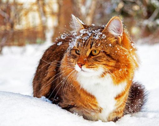 Winter Cat In Snow Diamond Painting