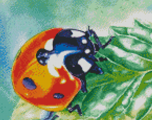 Aesthetic Ladybird Diamond Painting