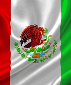 Aesthetic Mexican Flag Diamond Painting