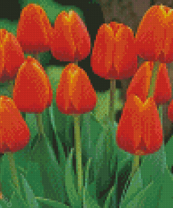Aesthetic Orange Tulips Diamond Painting
