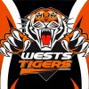 Aesthetic Wests NFL Tigers Diamond Painting