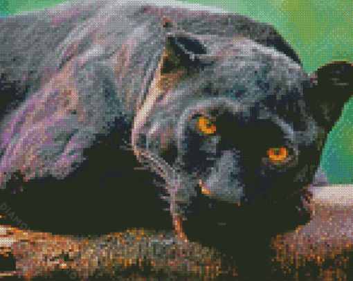 Aesthetic Black Jaguar Animal Diamond Painting