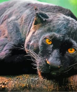 Aesthetic Black Jaguar Animal Diamond Painting