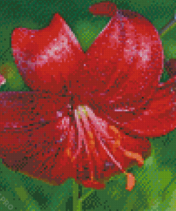 Aesthetic Red Lily Flower Diamond Painting