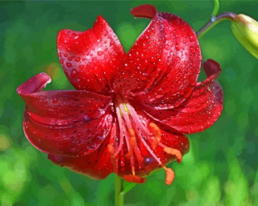 Aesthetic Red Lily Flower Diamond Painting