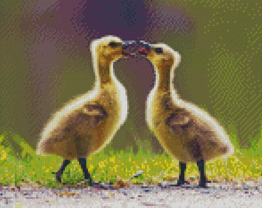 Baby Canada Geese Goslings Diamond Painting