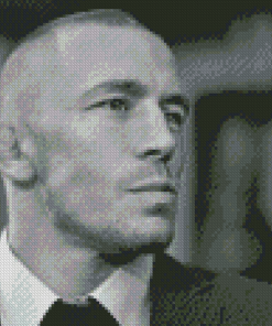 Black And White Georges St Pierre Diamond Painting