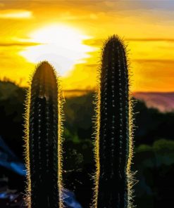 Cactus Sunset Diamond Painting