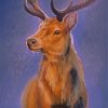 Deer Animal In Rain Art Diamond Painting