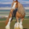 Golden Clydesdale Horse Diamond Painting