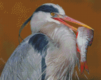 Grey Heron Bird With Fish Diamond Painting