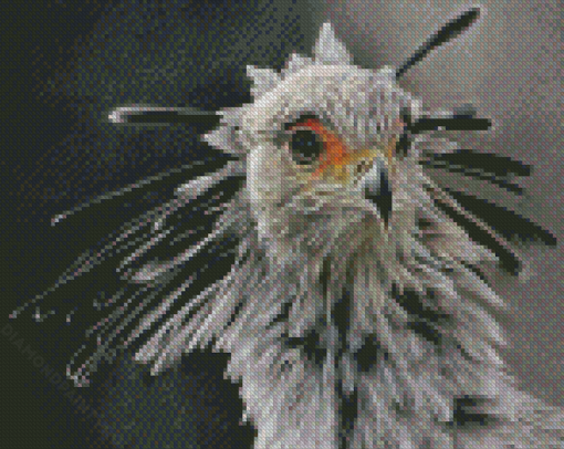 Monochrome The Secretarybird Diamond Painting