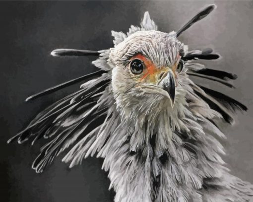 Monochrome The Secretarybird Diamond Painting