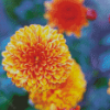 Orange Chrysanthemums Chines Flowers Diamond Painting