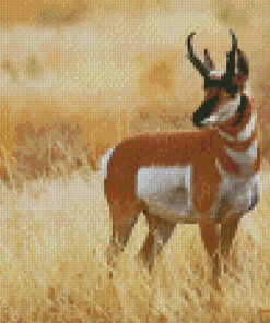 Pronghorn Wild Animal Diamond Painting