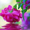 Reflection Pink Flower In Water Diamond Painting
