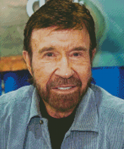 The Artist Chuck Norris Diamond Painting