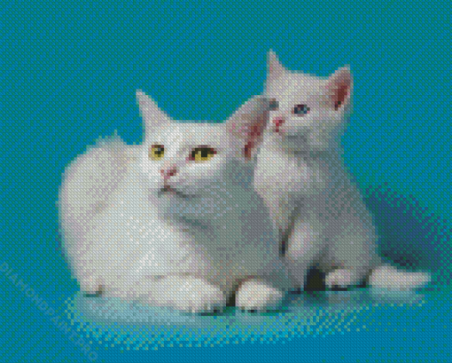 White Cat And kitten Diamond Painting