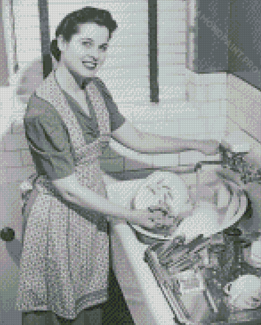 Woman Washing Dishes Diamond Painting