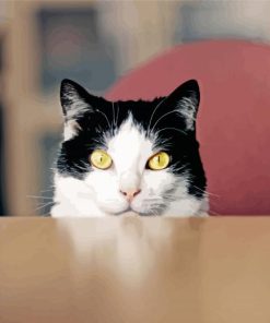 Adorable Tuxedo Cat Diamond Painting