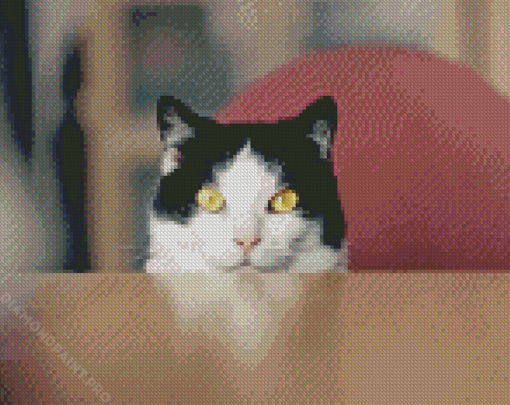 Adorable Tuxedo Cat Diamond Painting