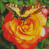 Butterfly Rose Diamond Painting