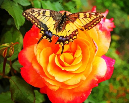 Butterfly Rose Diamond Painting