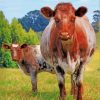 Handsome Shorthorn Cow And Calf Diamond Painting