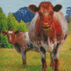 Handsome Shorthorn Cow And Calf Diamond Painting