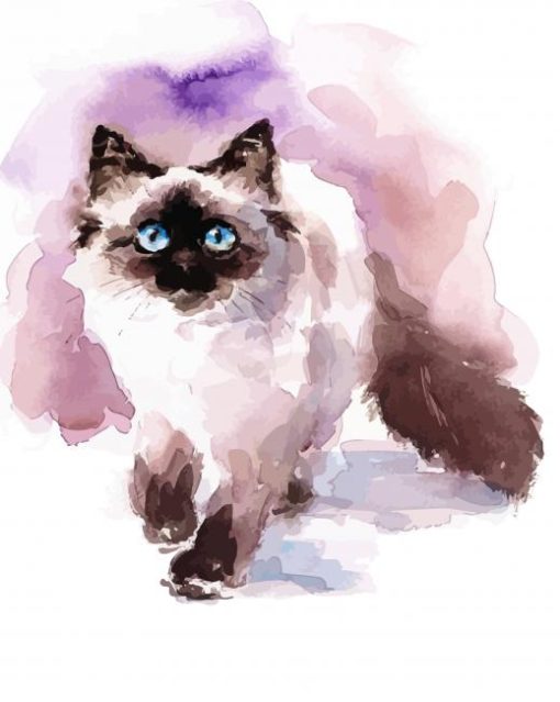 Ragdoll Cat Diamond Painting