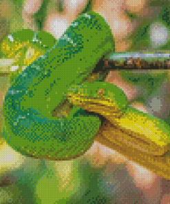 The Emerald Snake Diamond Painting