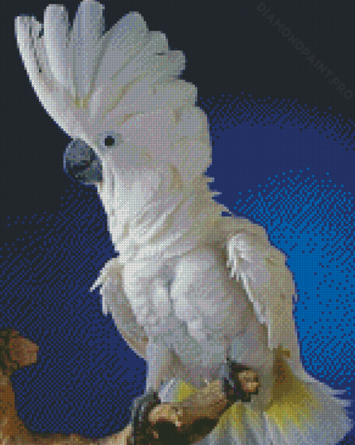 Umbrella Cockatoo Bird Diamond Painting