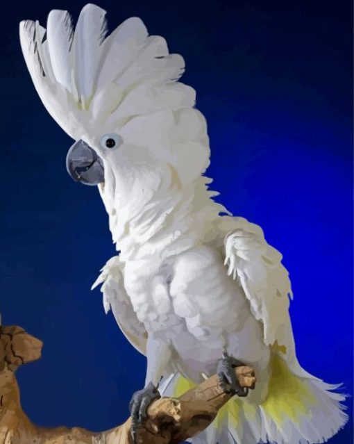 Umbrella Cockatoo Bird Diamond Painting