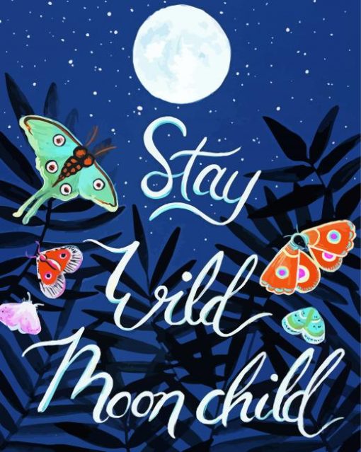 Aesthetic Stay Wild Moon Child PosterDiamond Painting