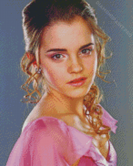 Beautiful Hermione Granger Yule Ball Diamond Painting