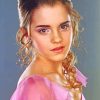 Beautiful Hermione Granger Yule Ball Diamond Painting