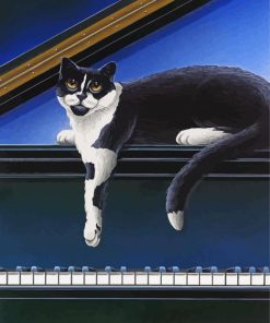 Black Cat And Piano Diamond Painting