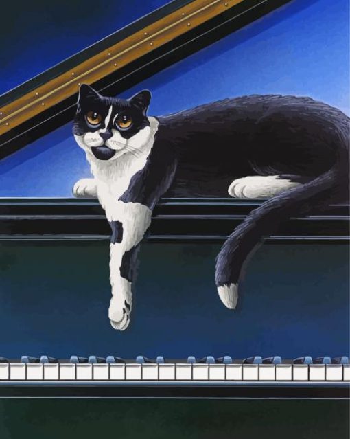 Black Cat And Piano Diamond Painting