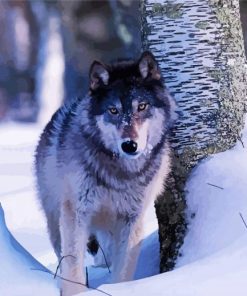 Grey Wolf In Deep Snow Diamond Painting