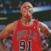 Dennis Rodman Chicago Bulls Diamond Painting