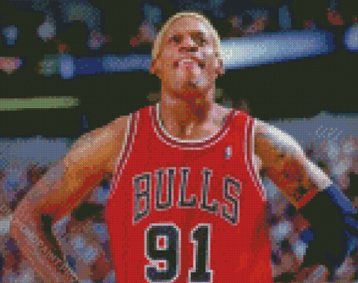 Dennis Rodman Chicago Bulls Diamond Painting