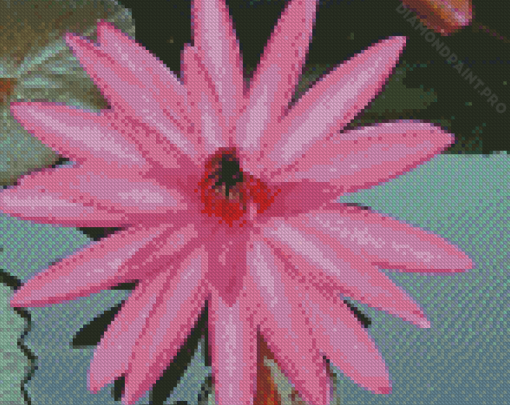 Pink Tiger Lotus Diamond Painting