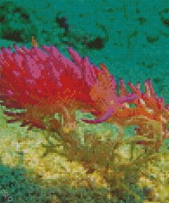 Aesthetic Sea Slug Under Water Diamond Painting